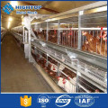 best design A-type material and chicken use poultry farm shed for chickens